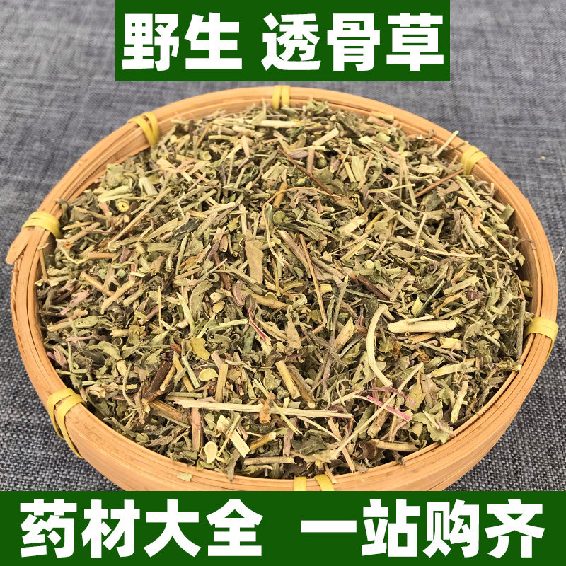 广西野生珍珠透骨草中药材正品正宗可打粉泡脚竹格叉吉盖草枸皮草