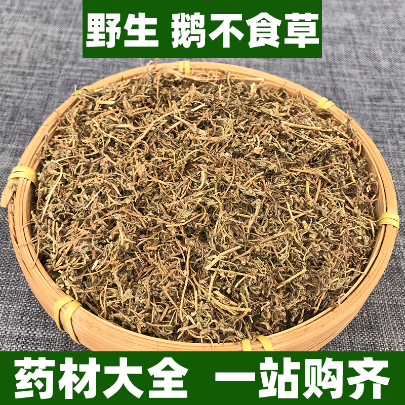 野生鹅不食草中药材正品鹅不吃草可打粉新鲜干货中草药250g500g