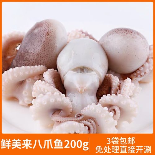 鲜美迷你小章鱼价格 鲜美迷你小章鱼图片 星期三