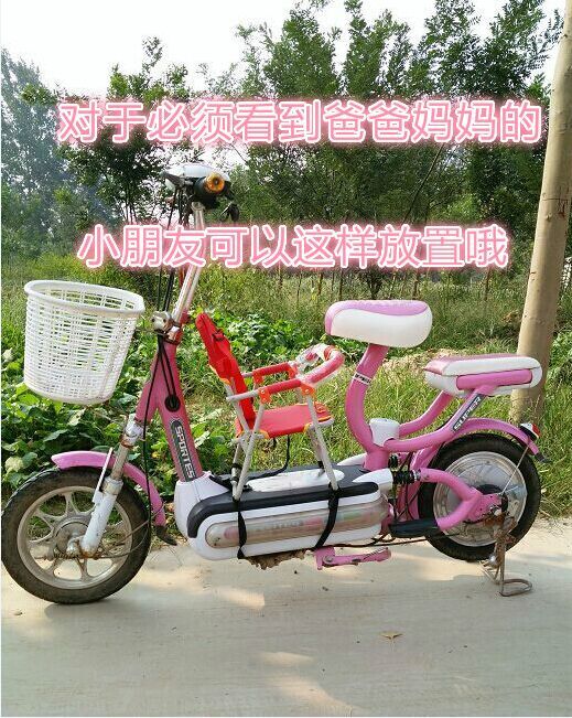 siège enfants pour vélo - Ref 2413920 Image 3