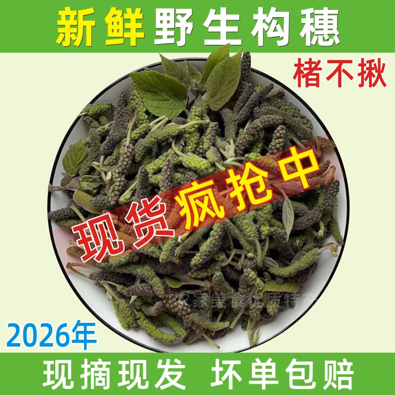 构树花焯水冷冻构穗天然野生楮不揪美味蒸菜构蒲穗构棒槌野菜构絮