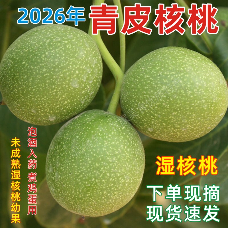 新鲜青皮核桃生核桃现摘绿皮湿核桃幼果带青皮泡酒入药煮鸡蛋包邮