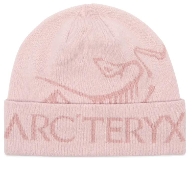 始祖鸟正品现货26新款Arcteryx Bird Word Toque经典标字母针织帽