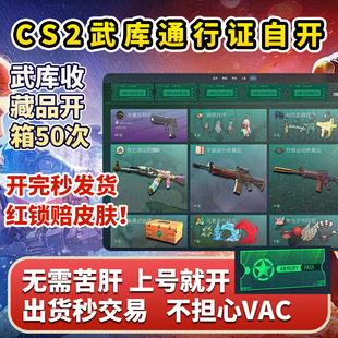CSGO通行证收藏品箱子加钥匙梦魇变革热潮大行动开箱皮肤cs2自开