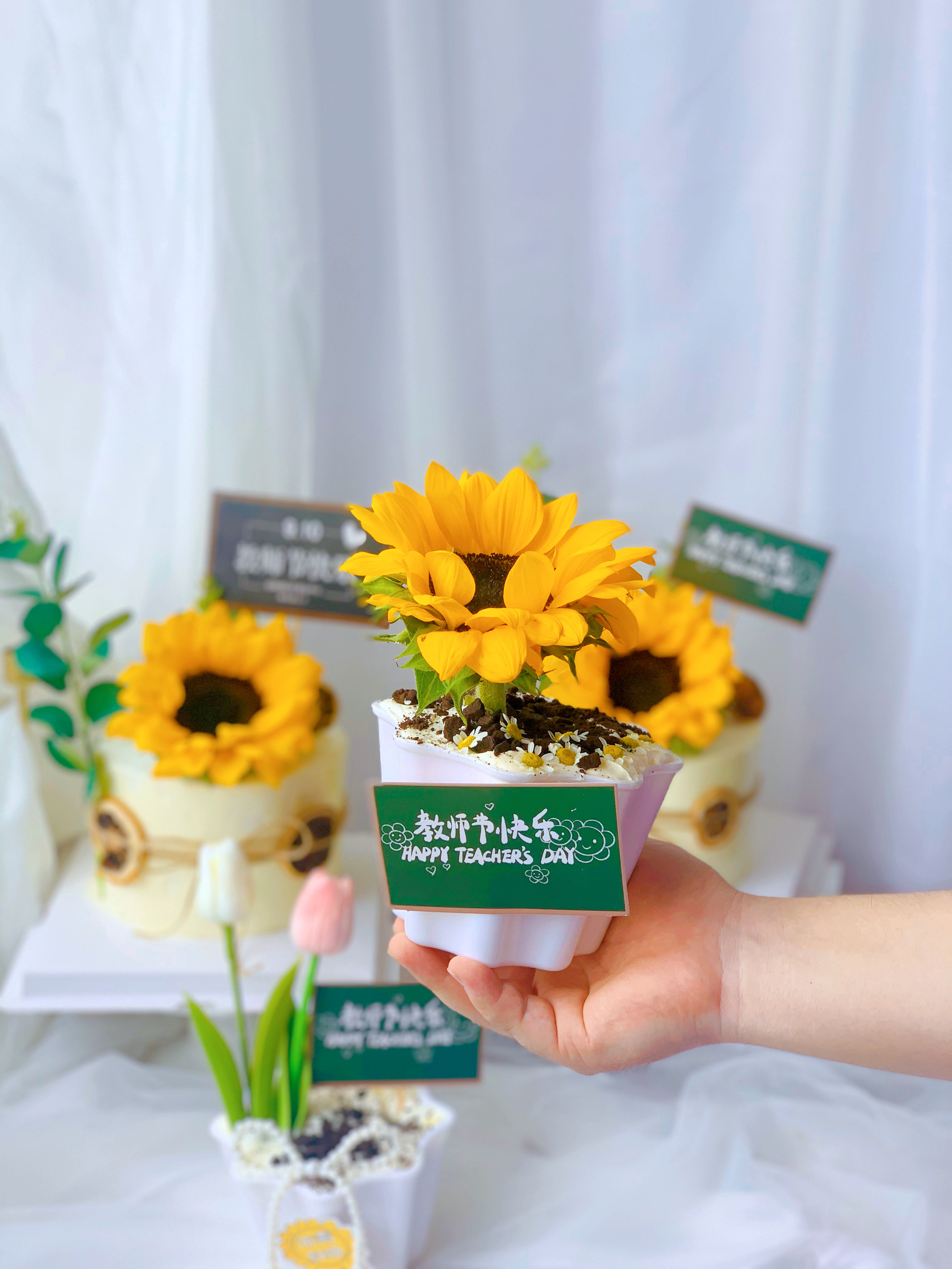教师节向日葵盆栽梦幻杯蛋糕装饰摆件尤加利叶插件节日快乐贺卡,节庆用品/礼品,节日装扮用品,淘宝优惠券,粉丝福利购,淘宝优惠卷