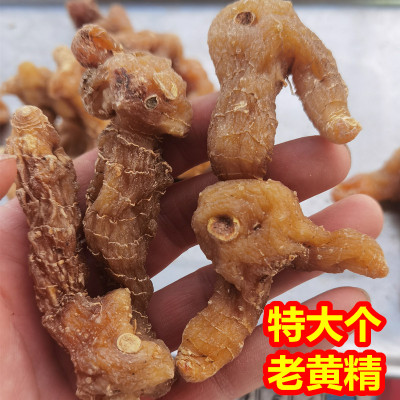 特大个头鸡头老黄精500g