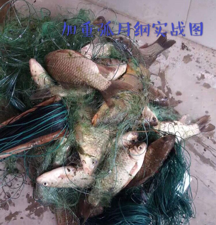 5米三层渔网鱼网粘网丝网挂网捕鱼网沉网小鱼单层