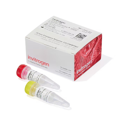 Invitrogen L3000-001 试剂Lipofectamine3000 0.1ml