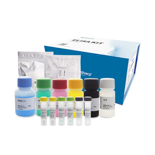 BSEH-001-96T Human IL-1β (白细胞介素1β) ELISA KIT