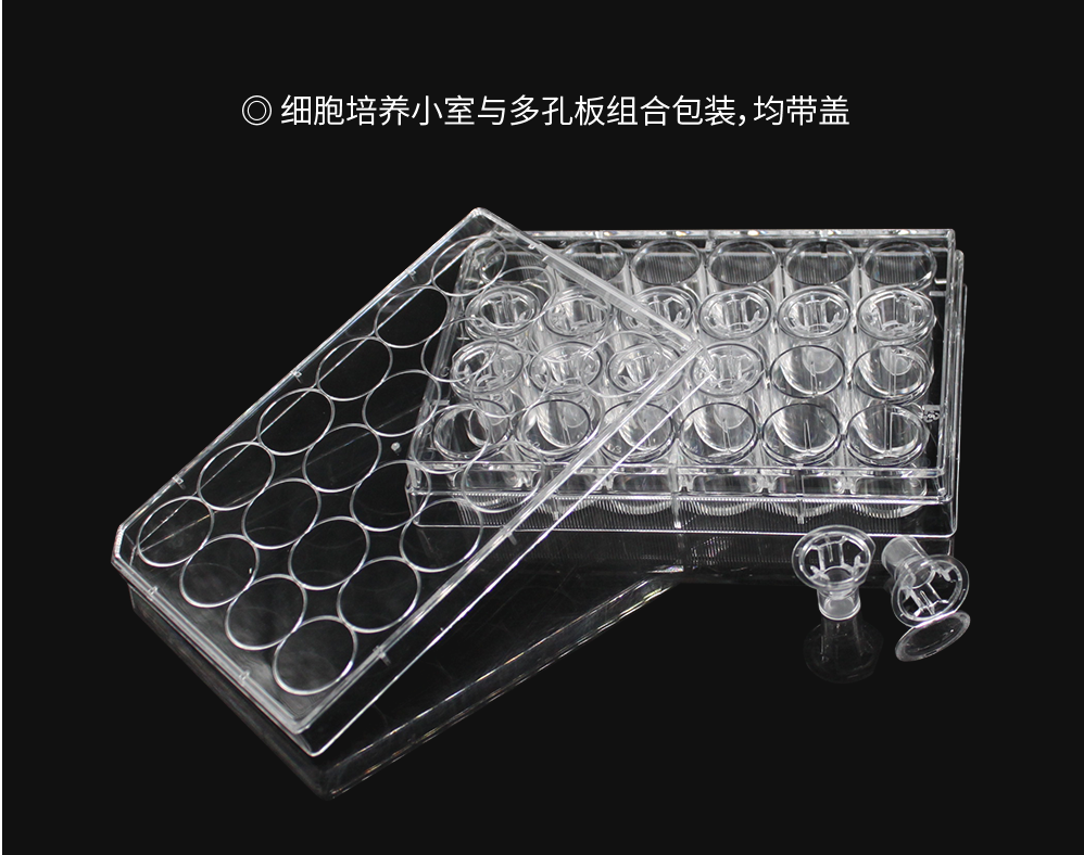 14331细胞培养小室嵌套含24孔板PC膜 6.5mm孔径5.0um替换康宁3421