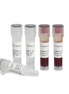 BL1250A RapidCut SalI 快速限制性内切酶