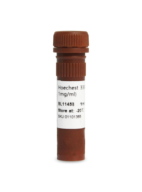 BL1145 Hoechst 33342细胞染色液(100x, 1mg/mL)