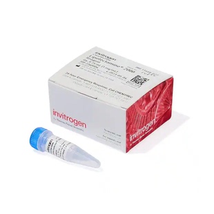 Invitrogen 11668-027 试剂Lipofectamine2000 0.75ml