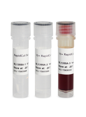 BL1355A RapidCut SacI 快速限制性内切酶