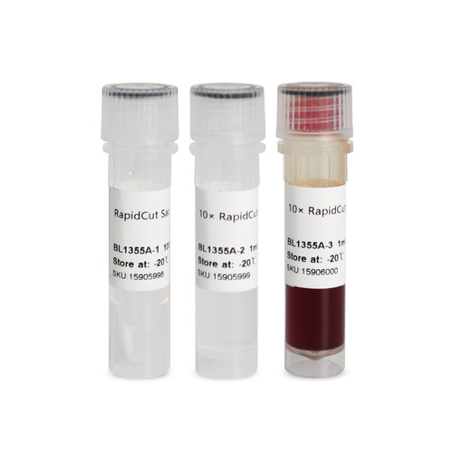 BL1355A RapidCut SacI 快速限制性内切酶