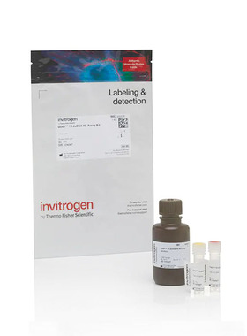 Q33230 Qubit 1X dsDNA HS 检测试剂盒