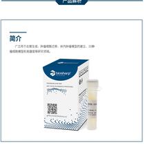 BL1833A 1ml 基质胶标准型不含LDEV含酚红平替BD 356234 Matrigel