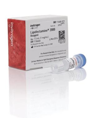 11668-019 试剂Lipofectamine2000