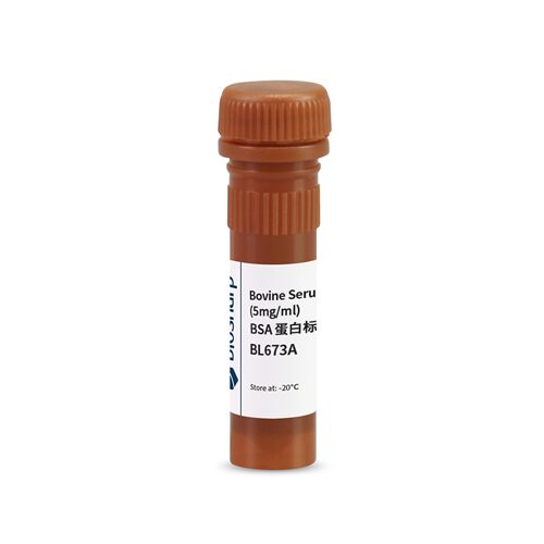 bs BL673A BSA 蛋白标准品（5mg/ml）