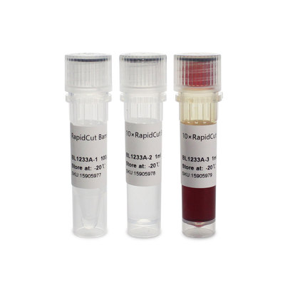 Biosharp白鲨 BL1233A RapidCut BglII 快速限制性内切酶 100T