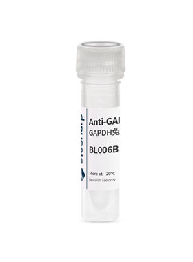 BS家 BL006B Anti-GAPDH polyclonal antibody 内参抗体