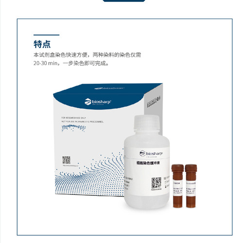 bs BL116A Hoechst 33342/PI双染试剂盒