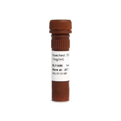 Biosharp/白鲨 BL1145B Hoechst 33342细胞染色液(100x, 1mg/mL)