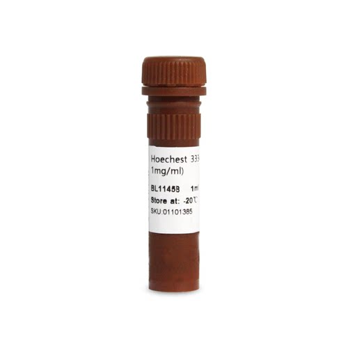 Biosharp/白鲨 BL1145B Hoechst 33342细胞染色液(100x, 1mg/mL)