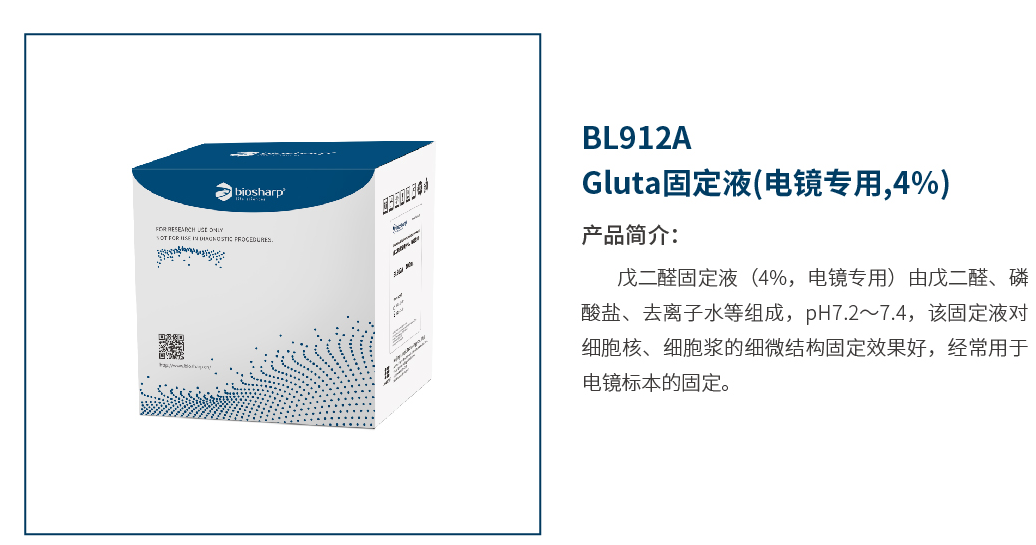 Biosharp BL912A Gluta固定液(电镜专用,4%)100ml