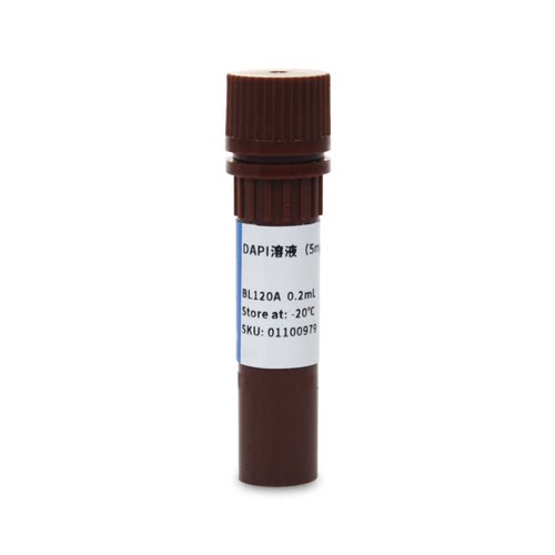 Biosharp/白鲨 BL120A DAPI溶液（5mg/ml）0.2ml