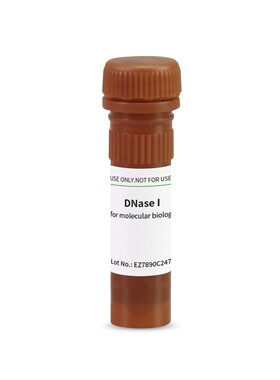 BioFroxx 1121MG010 脱氧核糖核酸酶I DNaseI 10mg
