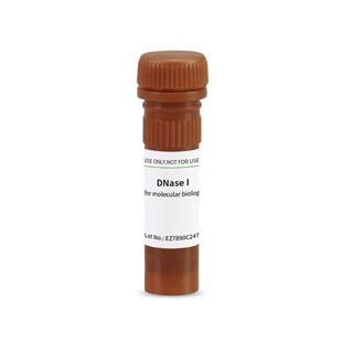 BioFroxx 1121MG010 脱氧核糖核酸酶I DNaseI 10mg