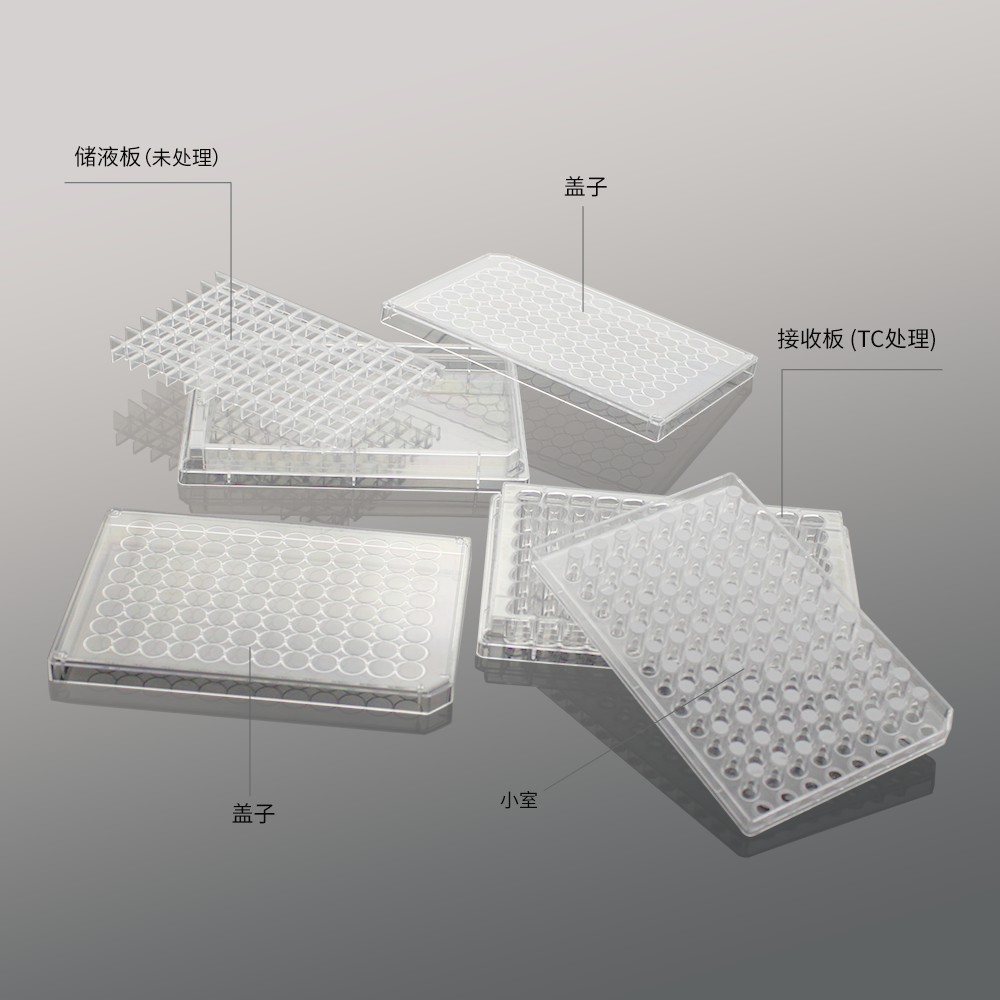 96孔板细胞培养小室(PC膜,4.26mm,孔径3.0μm)平替康宁3385 3386