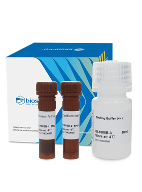 白鲨 BL1885B Annexin V-Fluor647/PI 双染细胞凋亡检测试剂盒50T