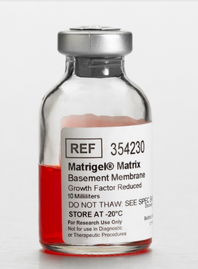 BD Biocoat 354230 Matrigel 低生长因子基质胶,GFR