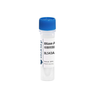 A溶液 1ml RNase 10mg BL543A 核糖核酸酶