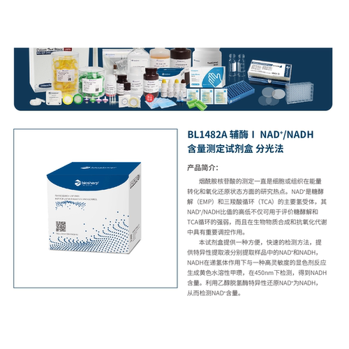 BL1482A 辅酶Ⅰ NAD+/NADH含量测定试剂盒 分光法
