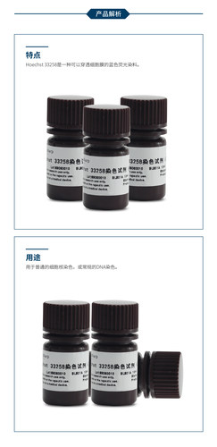 bs BL801A Hoechst 33258染色试剂（即用型4ug/ml ）