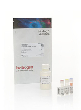 Q10212 试剂盒Qubit ssDNA Assay Kit