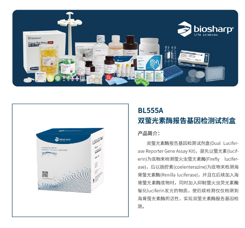 biosharp bl555a 双萤光素酶报告基因检测试剂盒