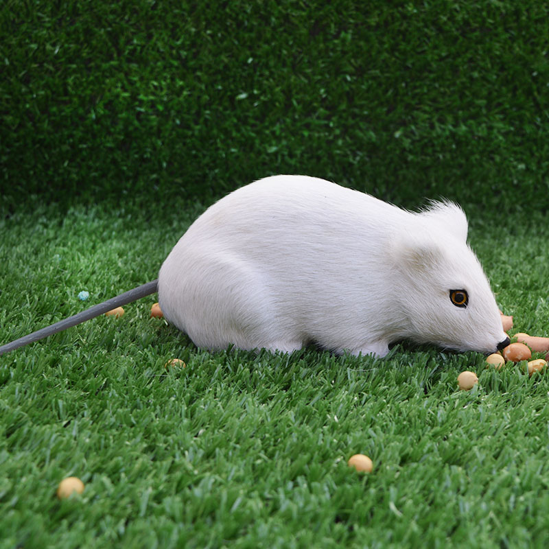 仿真礼物森林道具吓人摆件模型