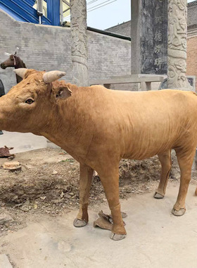 一比一仿真黄牛水牛奶牛模型