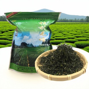 广西茗茶桂林毛峰茶250克/袋装绿茶桂林茶叶研究科所茶树鲜叶茶