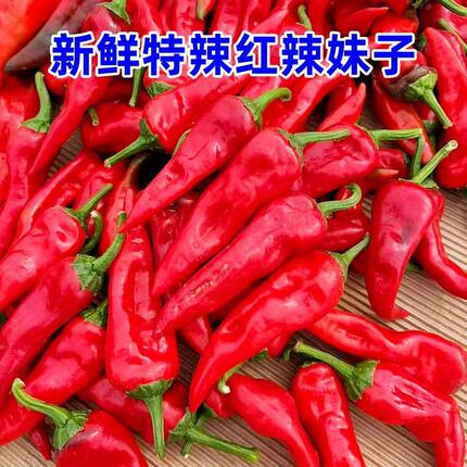 新鲜红辣妹子农家自种精品红辣椒新鲜蔬菜辣妹子辣椒酱炒菜特辣