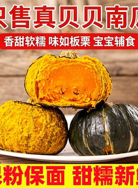 【包粉包面】真贝贝南瓜板栗味迷你小南瓜孕妇宝宝辅食新鲜老瓜