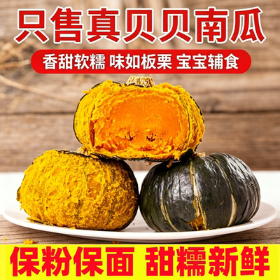 【包粉包面】真贝贝南瓜板栗味迷你小南瓜孕妇宝宝辅食新鲜老瓜