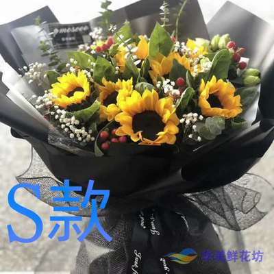 生日探望康乃馨浙江温州花店送花文成县泰顺县瑞安市同城鲜花速递