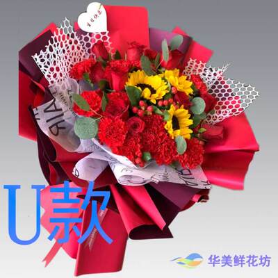 生日慰问康乃馨四川宜宾订花店送花江安县长宁县高县同城鲜花快递