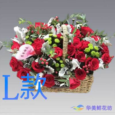 生日康乃馨辽宁沈阳花店送花苏家屯区东陵区新城子区同城鲜花快递