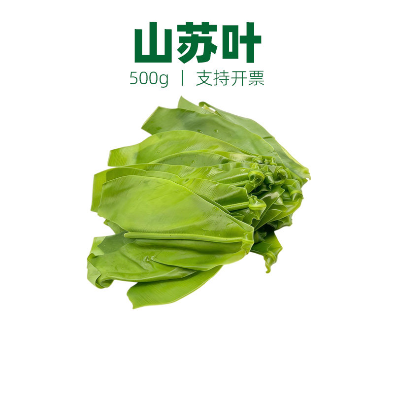 新鲜山苏叶台湾山苏菜鸟巢蕨西餐菜酒店特色菜食用山苏菜